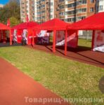 Шатры и тенты на мероприятие: как выбрать идеальное укрытие